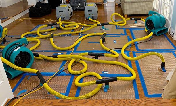 Professional Structural Drying And Dehumidification technician working in Agness, OR